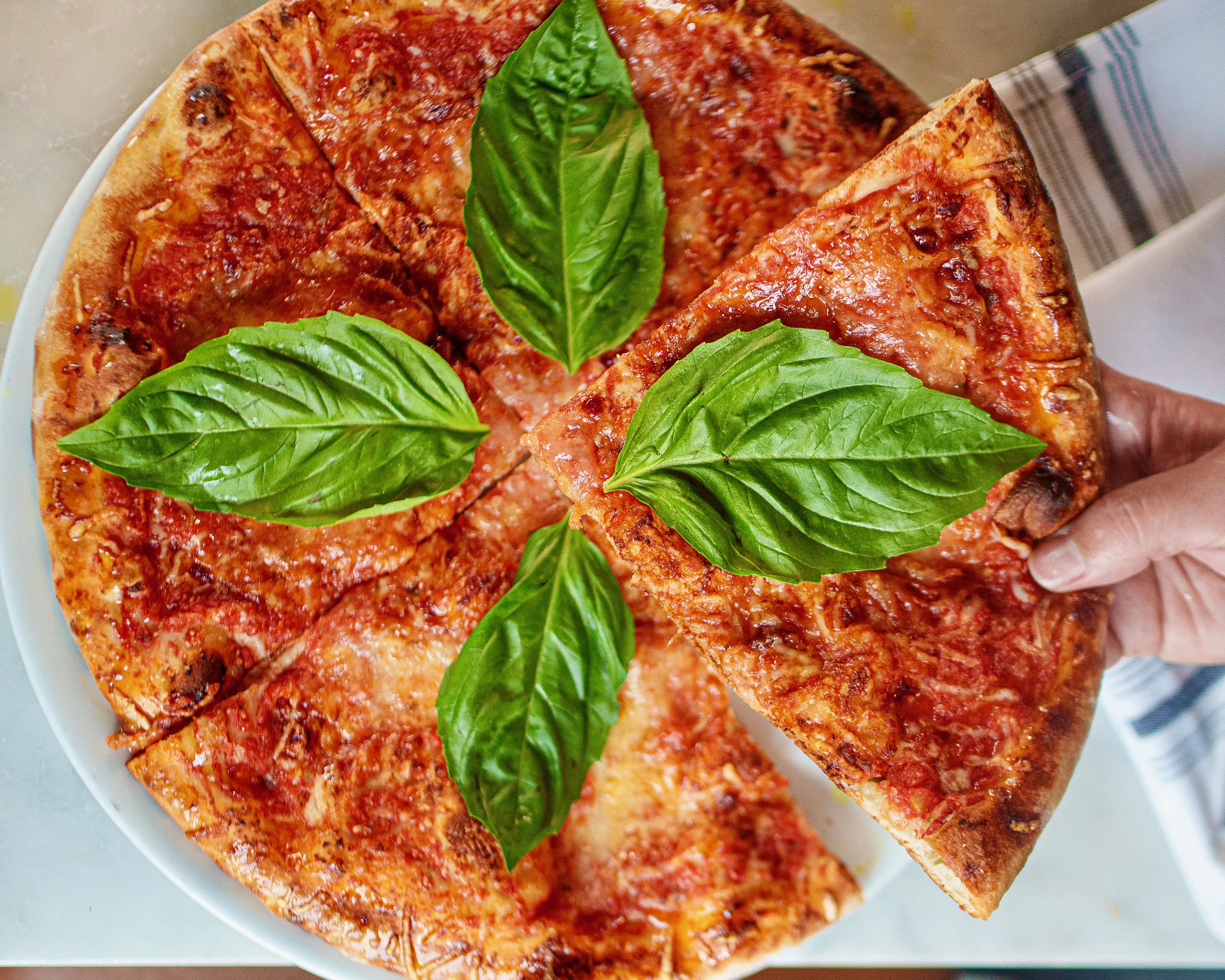 Margherita pizza