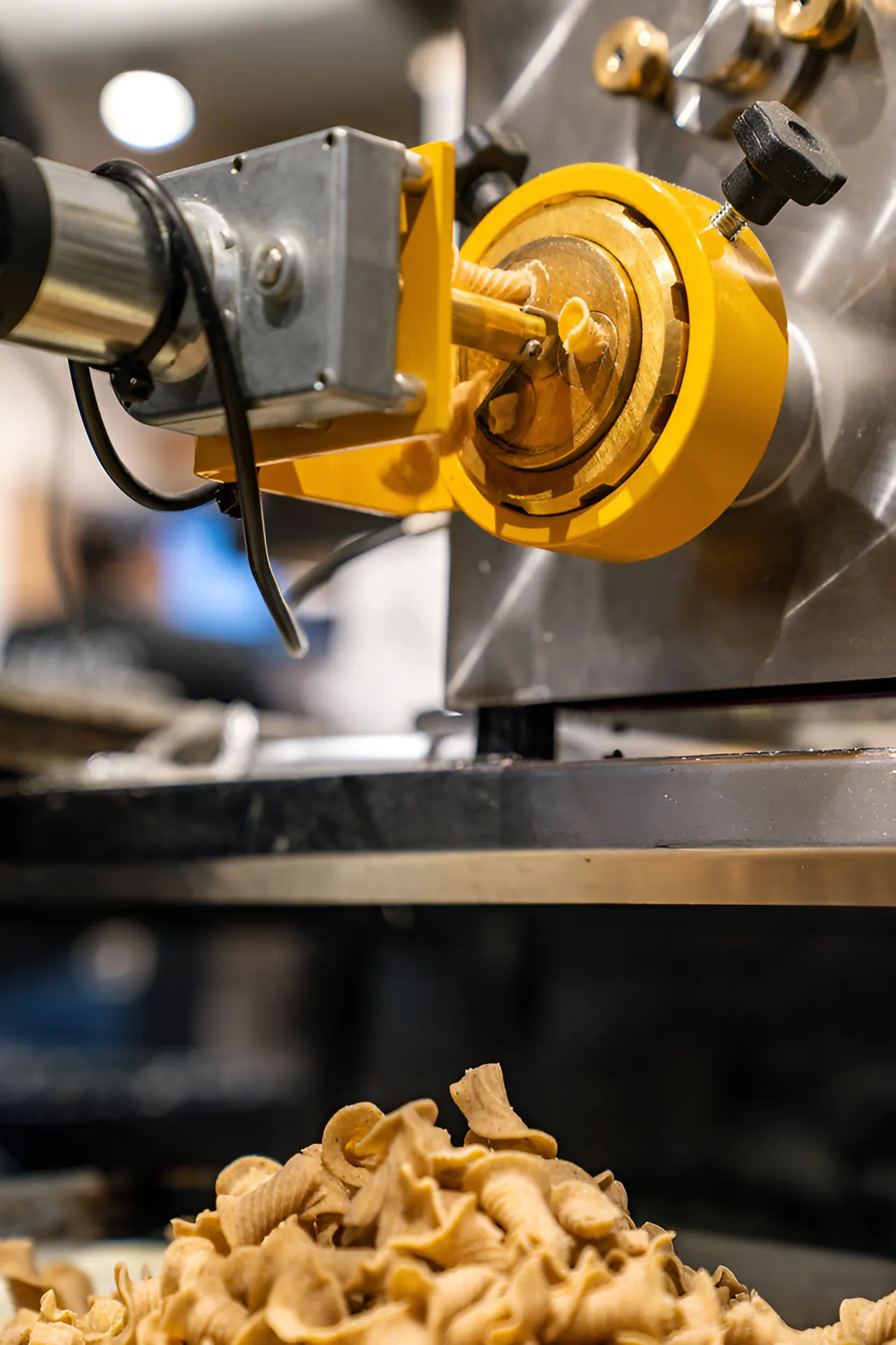 Fresh pasta being made at Salt & Vine Restaurant