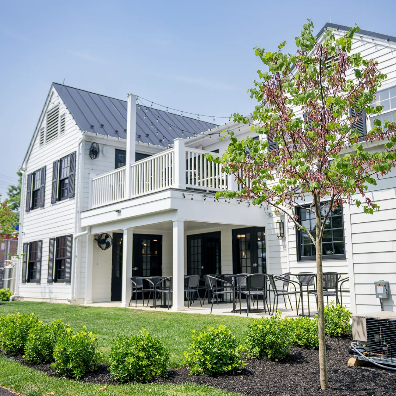 Salt & Vine, Olney
